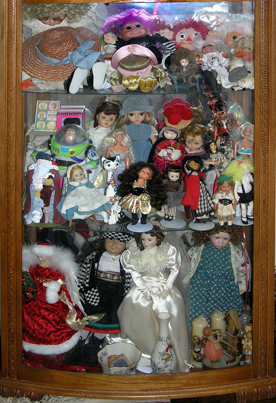 ann's doll case